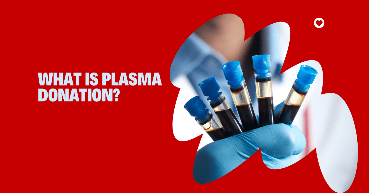 What Is Plasma Donation?