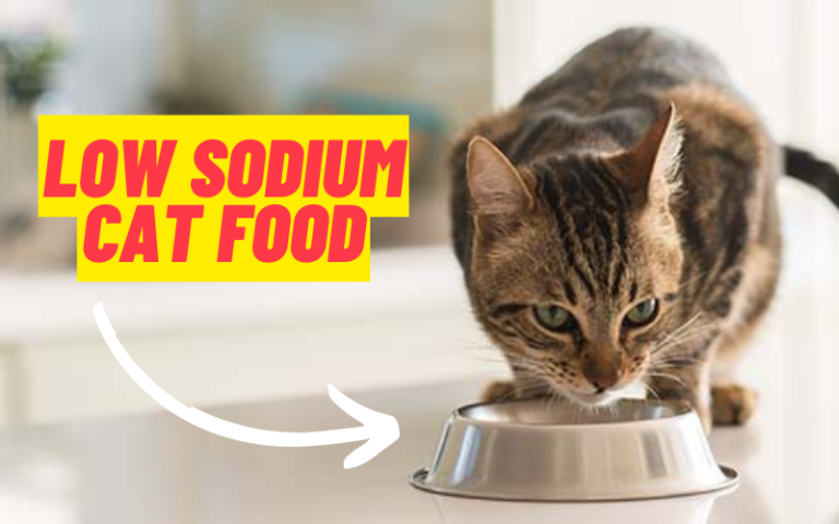 Low Sodium Cat Food: Heart Health Benefits for Your Feline Friend