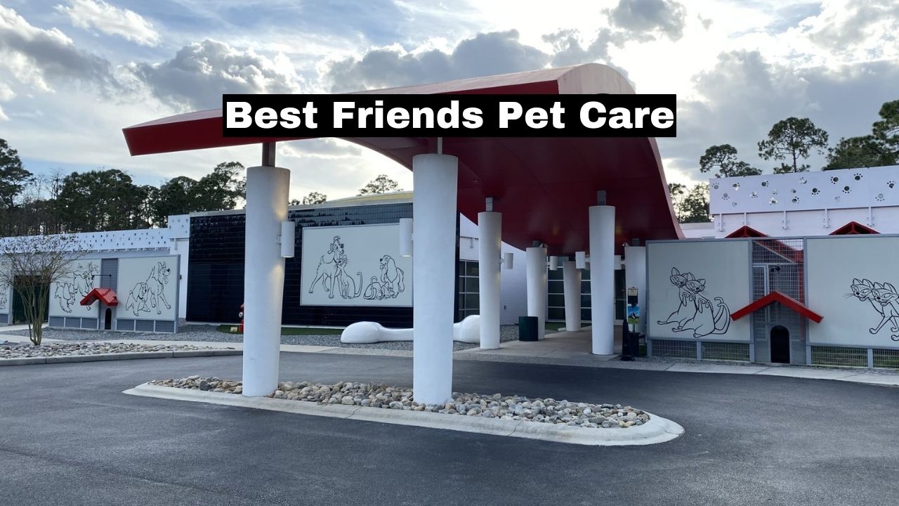 Best Friends Pet Care