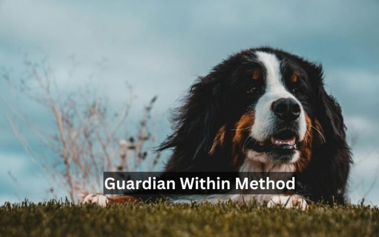 The Guardian Within Method: Unleashing Your Inner Power